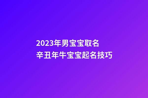 2023年男宝宝取名 辛丑年牛宝宝起名技巧